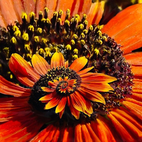 💚💙❤️💛🧡💚💙❤️💛🧡💚💙❤️💛🧡 - Picture 10 of 14